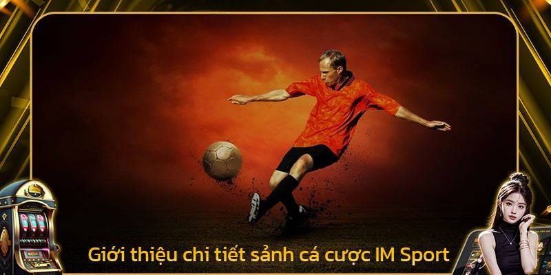 IM Thể Thao - Thiên Đường Giải Trí Đẳng Cấp Châu Á Nhiều Năm 2 IM thể thao xứng danh thiên đường giải trí châu Á