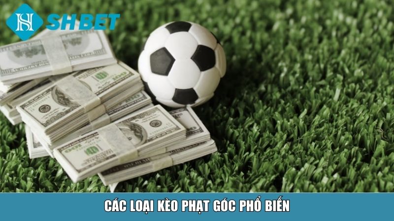 Kèo Phạt Góc Là Gì? Giải Thích Chi Tiết Và Cách Chơi Tại Nhà Cái SHBET 3 Các loại kèo phạt góc phổ biến