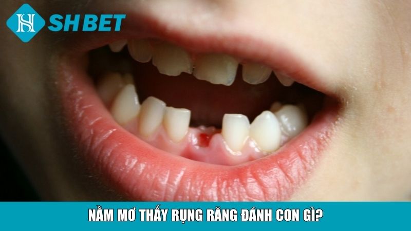 Giải Mã Giấc Mơ Nằm Mơ Thấy Rụng Răng Và Ý Nghĩa 4 Nằm mơ thấy rụng răng đánh con gì?