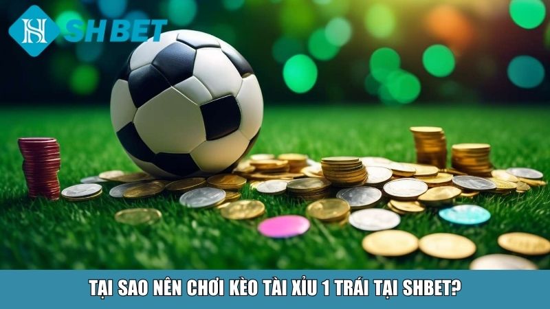 Tài Xỉu 1 Trái Là Gì? Hướng Dẫn Chi Tiết Cho Người Mới Tại SHBET 4 Tại sao nên chơi kèo tài xỉu 1 trái tại SHBET?